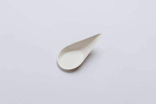 Disposable Canape Dish - Mini Spoon